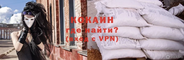 гашик Краснослободск