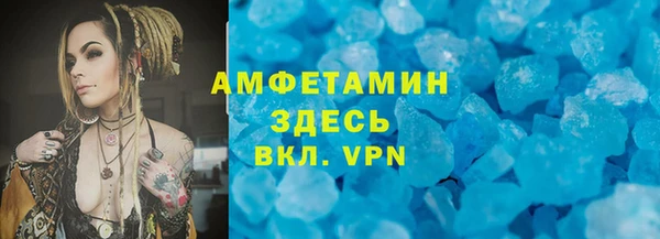 дживик Бронницы