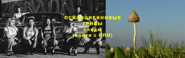 ешки Богородицк