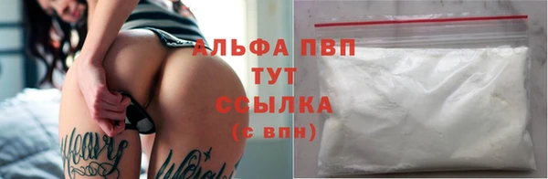 сатива Бородино