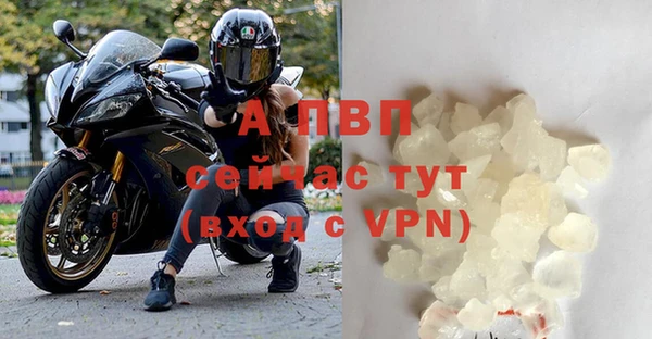 сатива Бородино