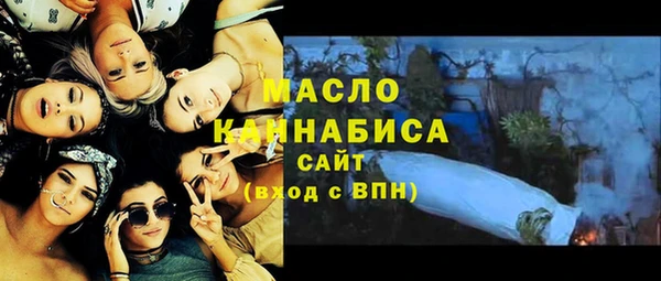 дживик Бронницы