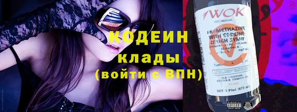 дживик Бронницы