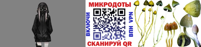 сколько стоит  Гурьевск  Галлюциногенные грибы мицелий 